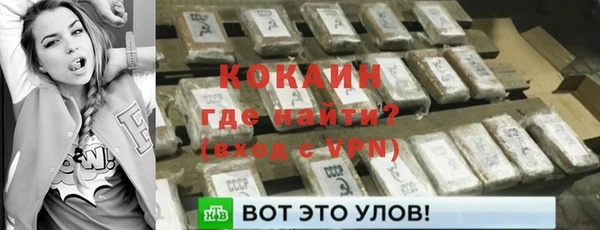 ГАЛЛЮЦИНОГЕННЫЕ ГРИБЫ Фёдоровский