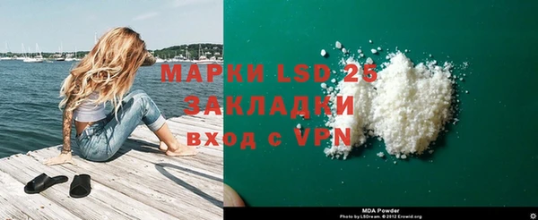 ГАЛЛЮЦИНОГЕННЫЕ ГРИБЫ Фёдоровский