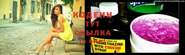 хмурый Протвино