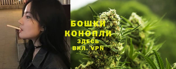 дмт Приозерск