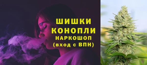 дмт Приозерск