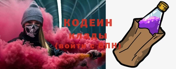 ГАЛЛЮЦИНОГЕННЫЕ ГРИБЫ Фёдоровский