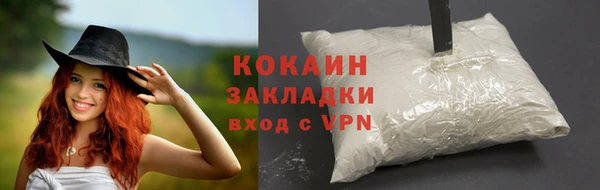 ГАЛЛЮЦИНОГЕННЫЕ ГРИБЫ Фёдоровский
