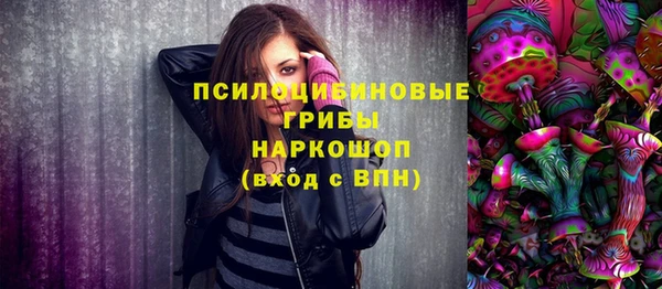 ГАЛЛЮЦИНОГЕННЫЕ ГРИБЫ Фёдоровский