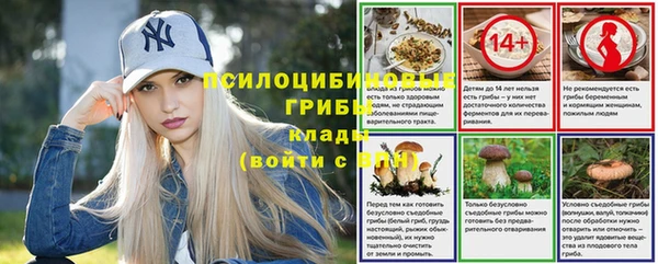 jwh Калининец