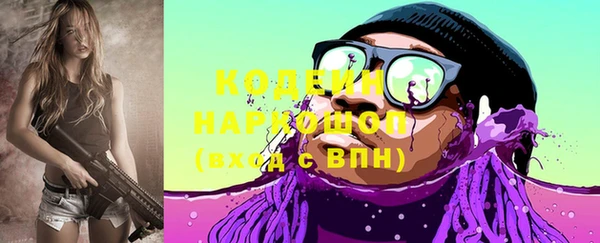ГАЛЛЮЦИНОГЕННЫЕ ГРИБЫ Фёдоровский