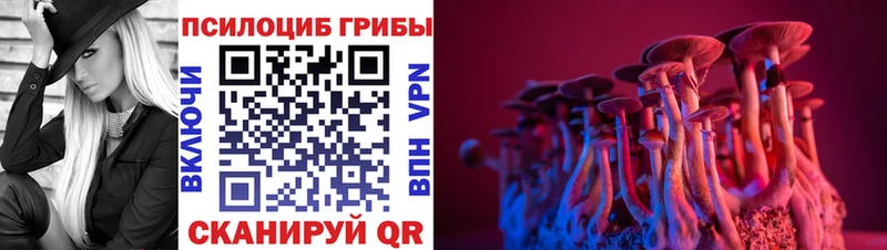 Галлюциногенные грибы Psilocybine cubensis Ардатов