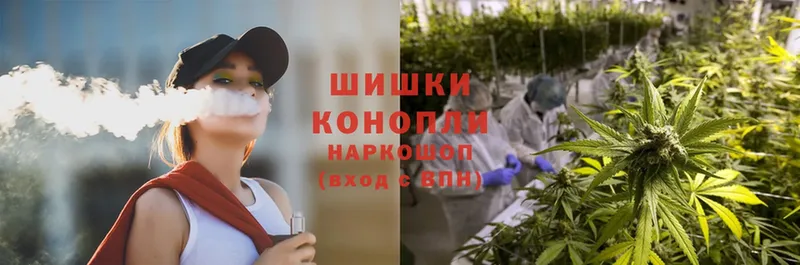 МАРИХУАНА THC 21%  Ардатов 